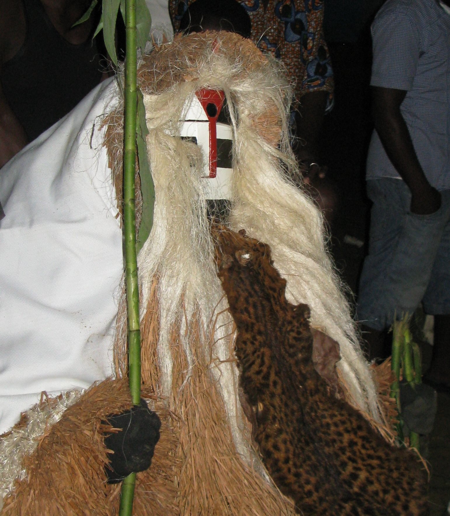 Ali Bongo comparé à un Moukoukwè