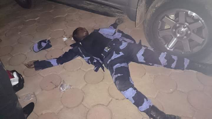 WhatsApp Image 2016-08-28 at 15.46.46